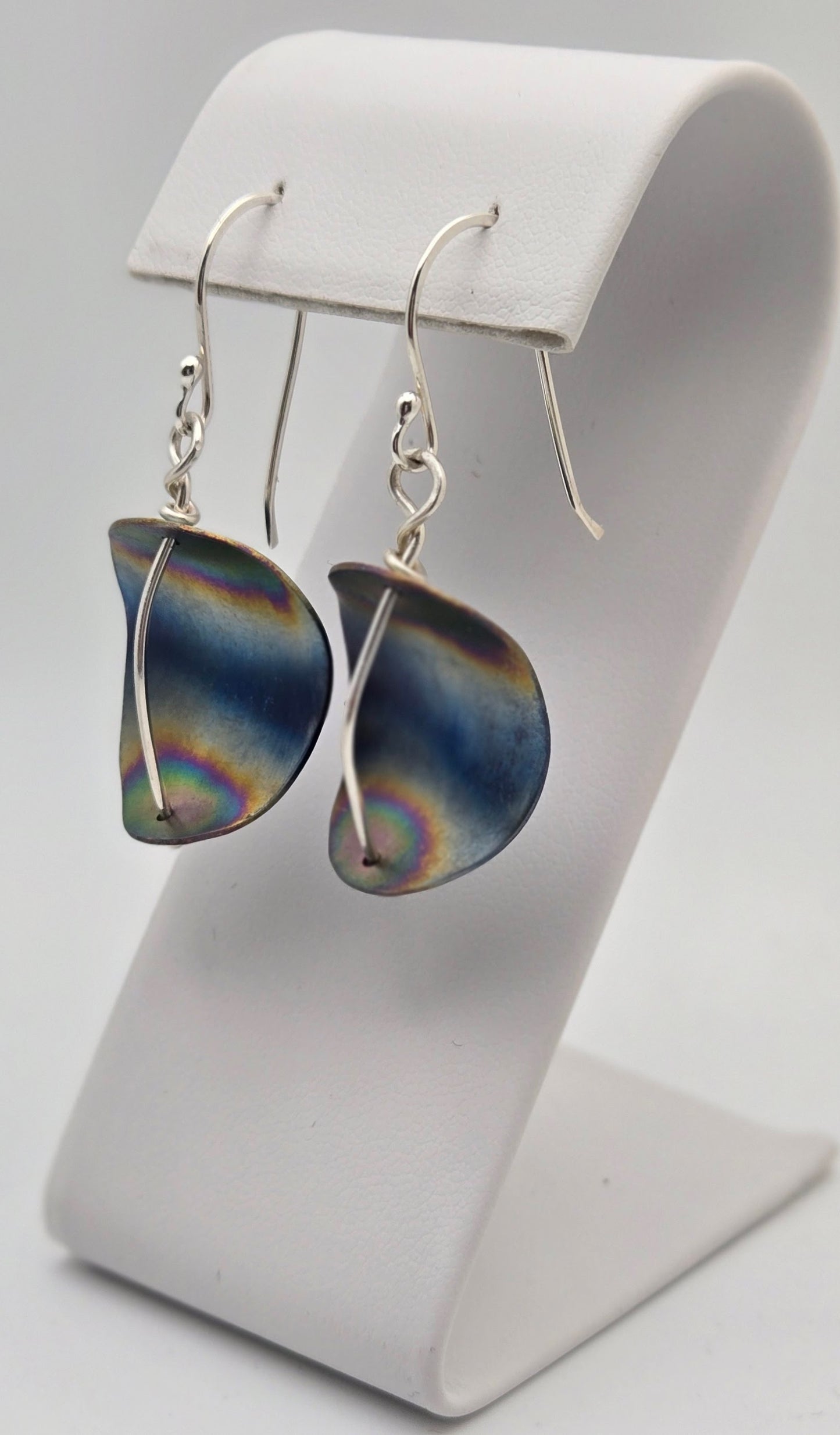 Titanium Curved Oval Earrings