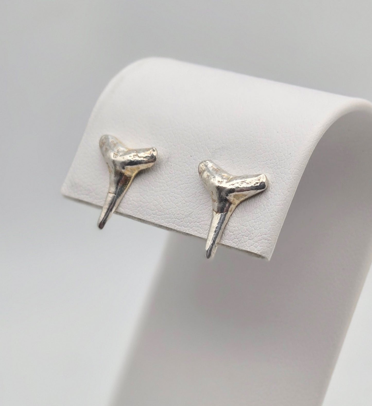 Shark Tooth Stud Earrings