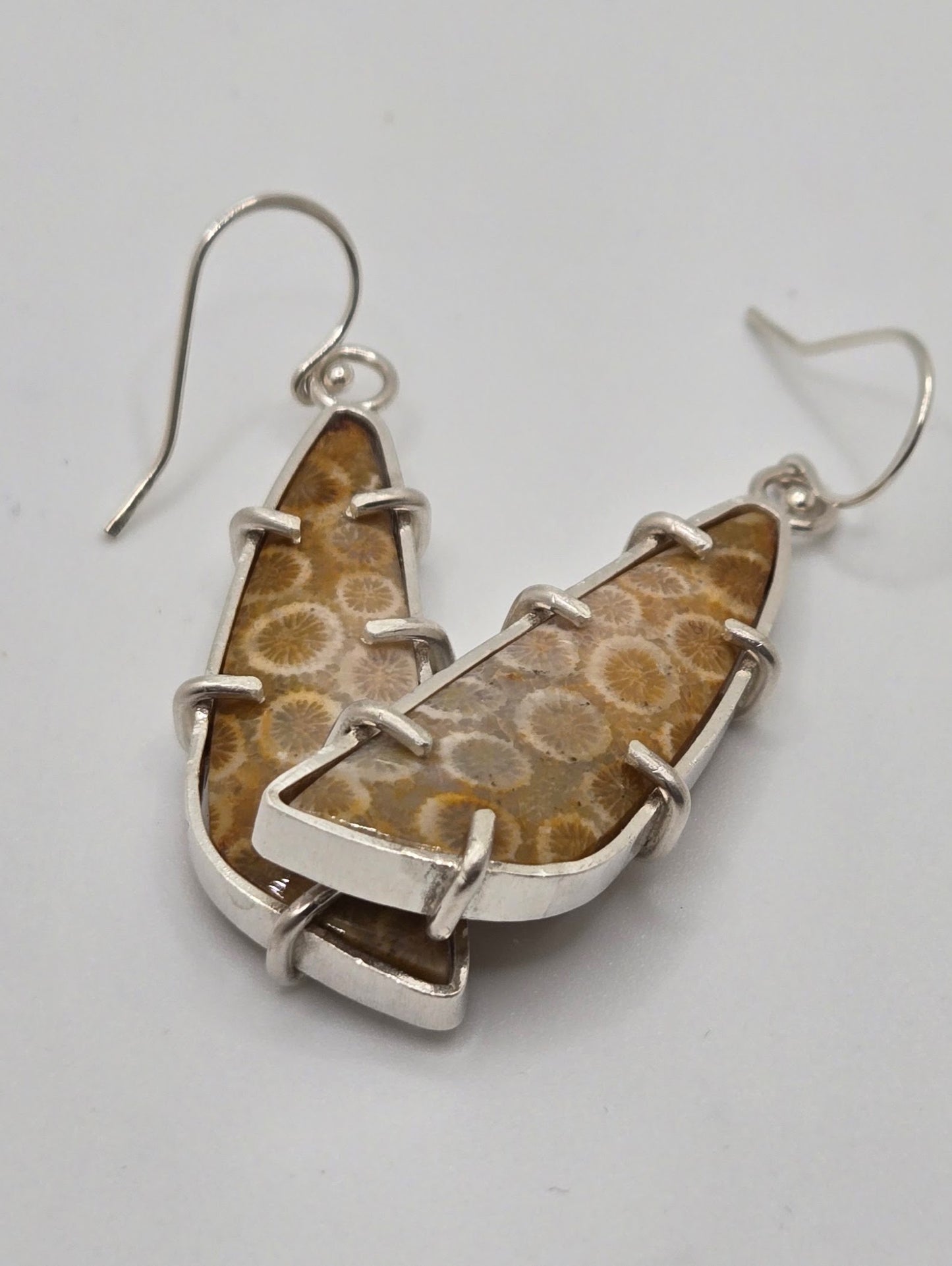 Fossil Coral Earrings