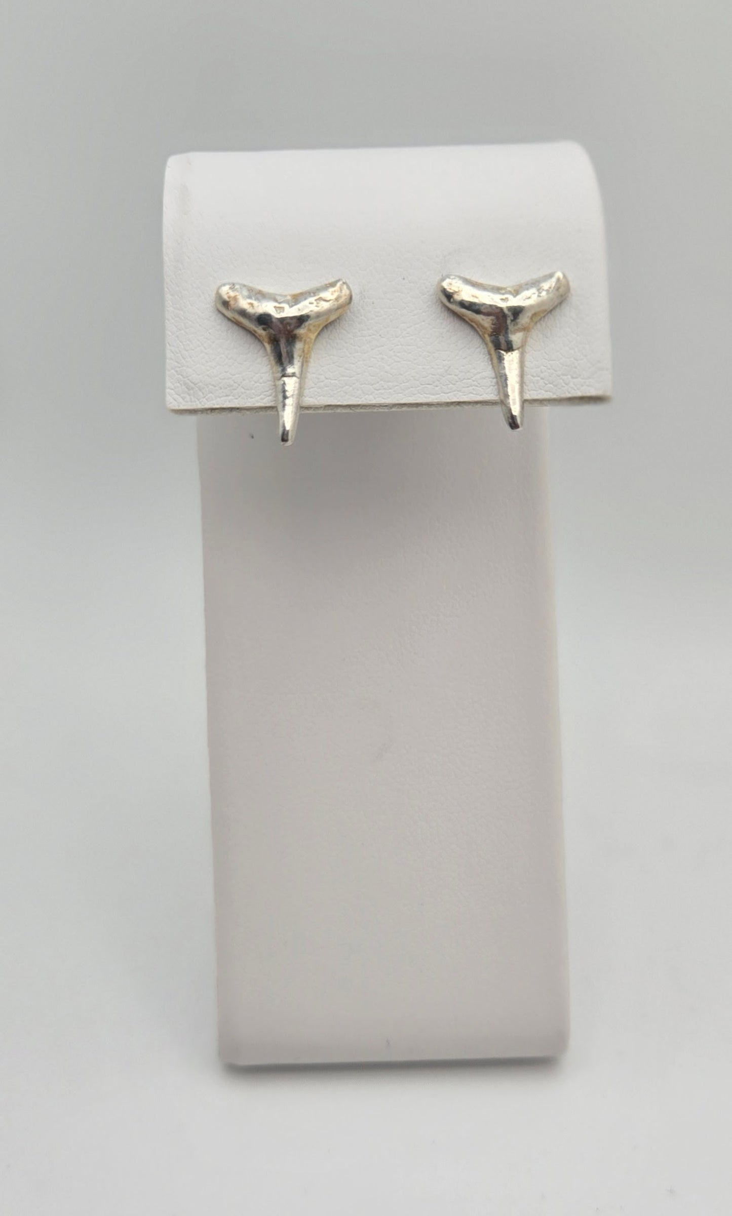 Shark Tooth Stud Earrings